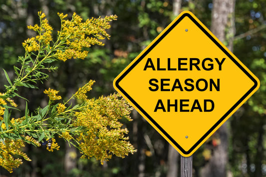 4 Solutions for Those Who Deal With Seasonal Allergies
