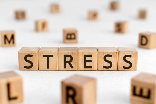 4 Best Ways to Handle Stress in Your Life