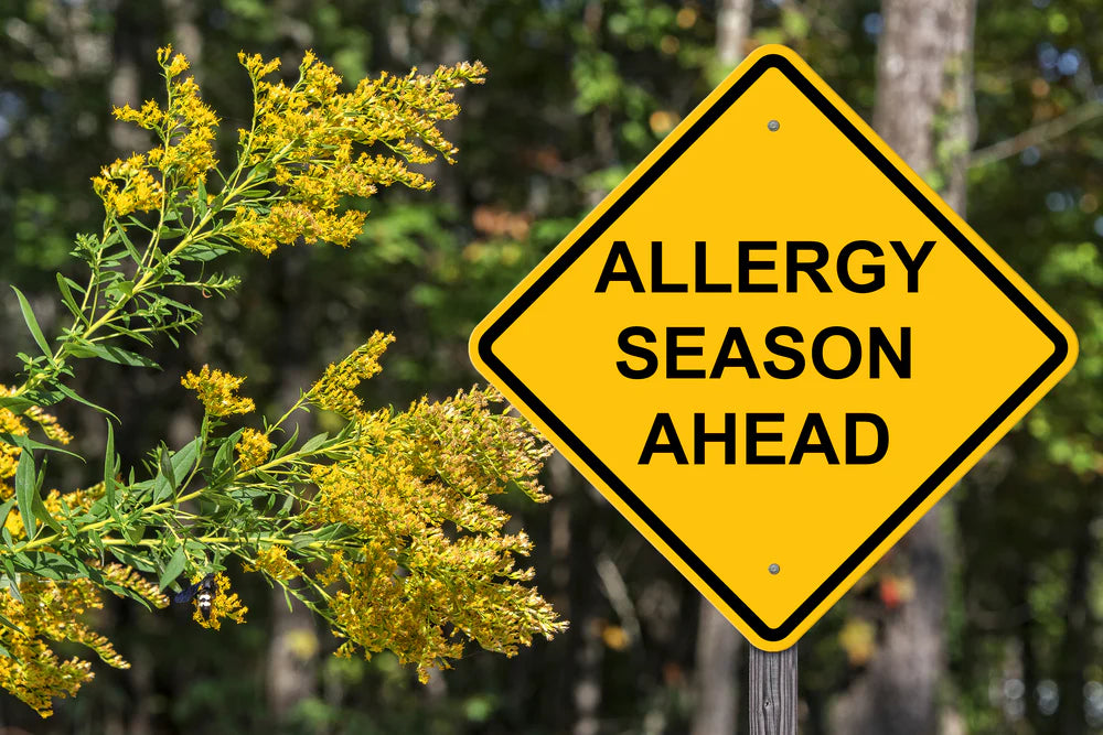 4 Solutions for Those Who Deal With Seasonal Allergies